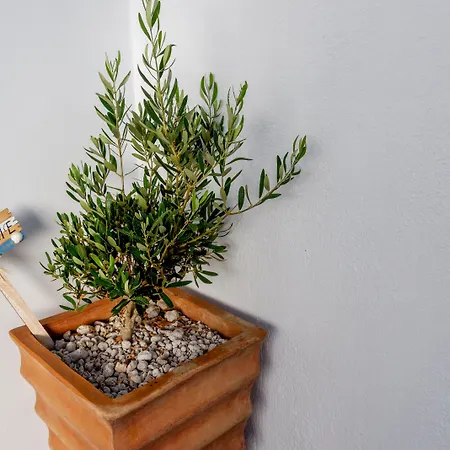 Szálloda Nikolas Karterádosz