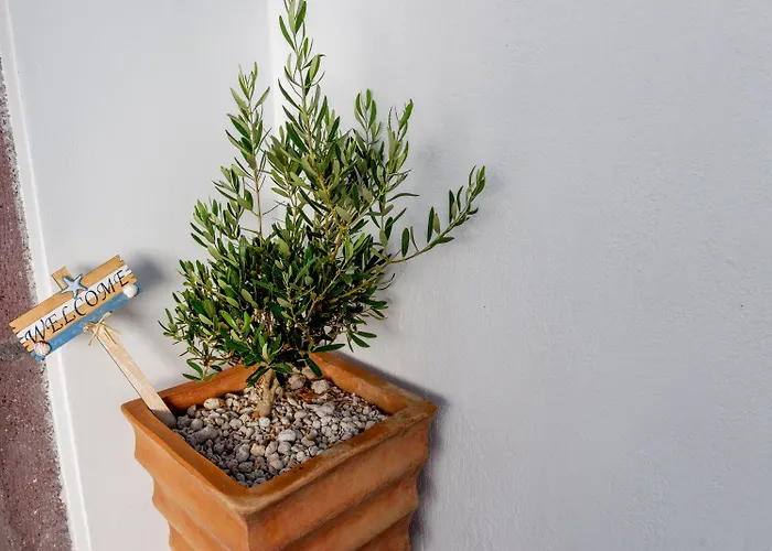 Отель Nikolas Картерадос